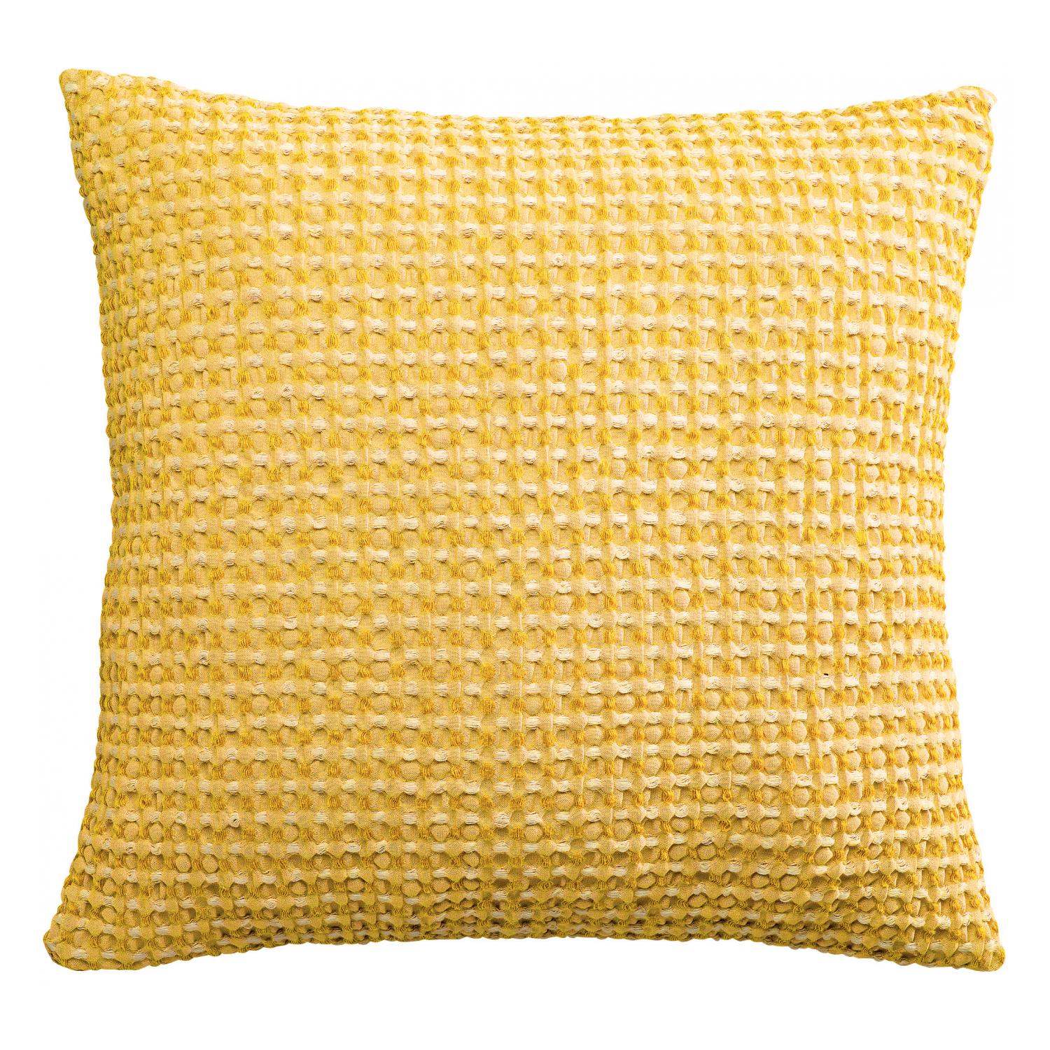 Coussin en coton absynthe 45 x 45 Coussin en coton absynthe 45 x 45