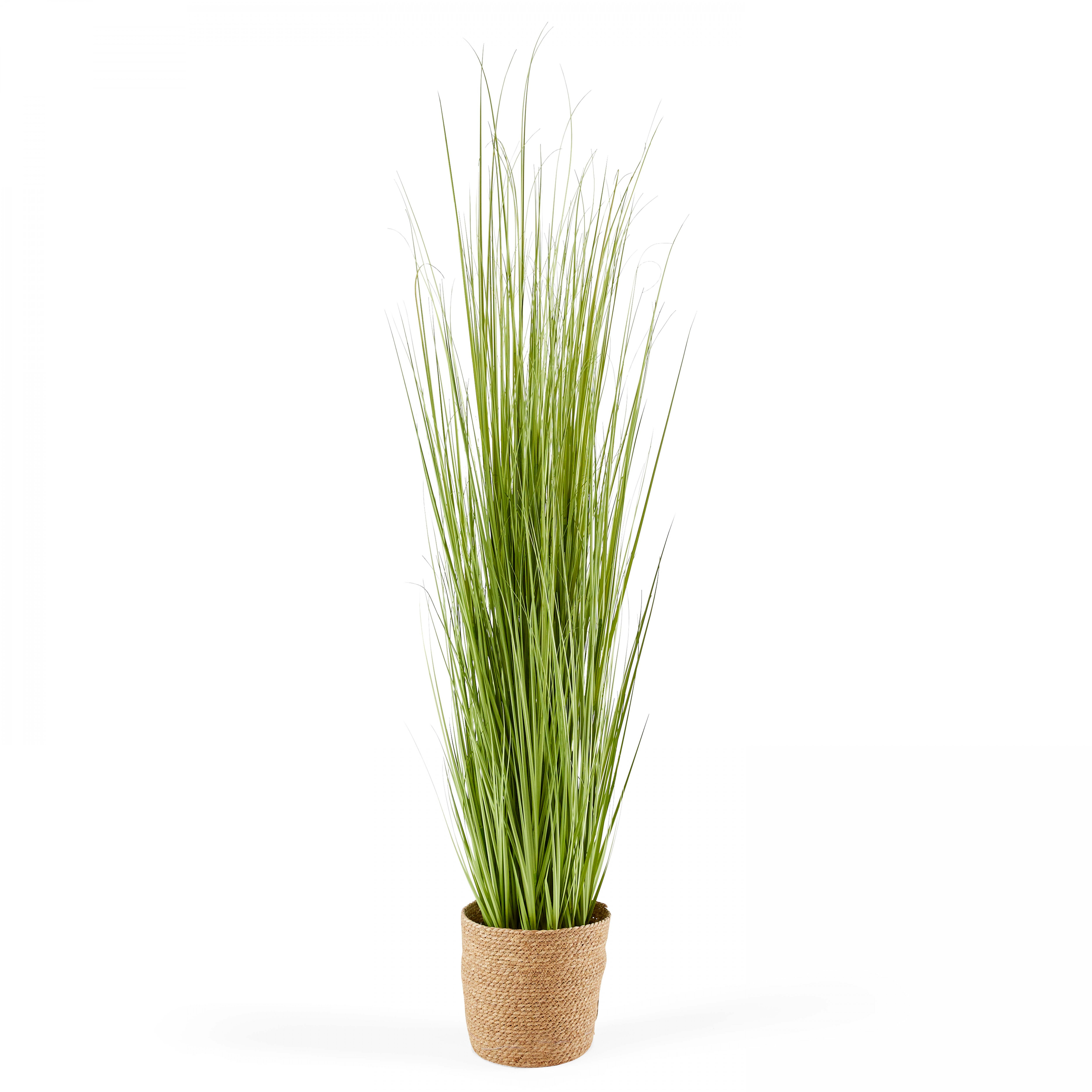 Plante artificielle Herbe folle Carex, hauteur 155 cm vert