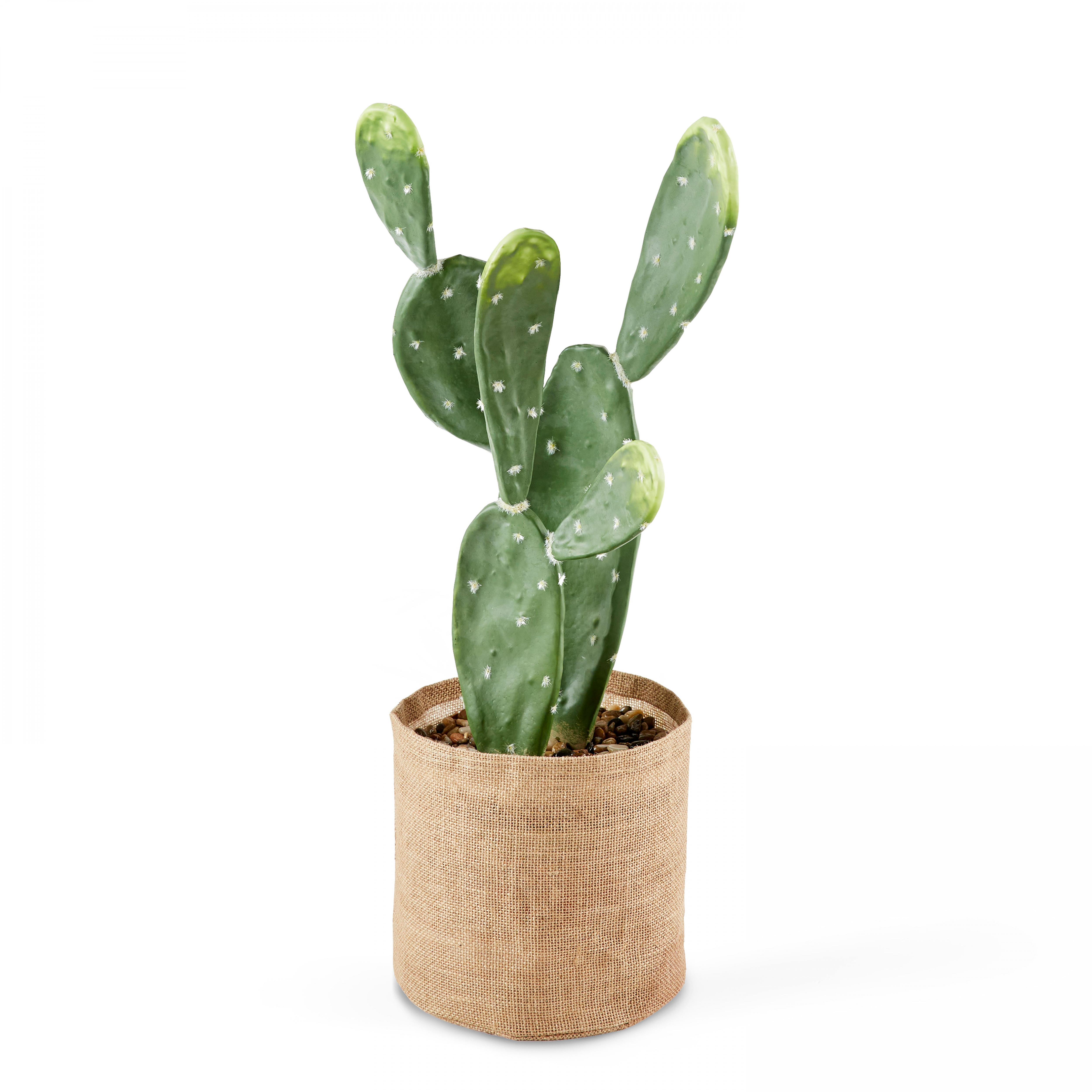 Plante artificielle Cactus, hauteur 60 cm vert