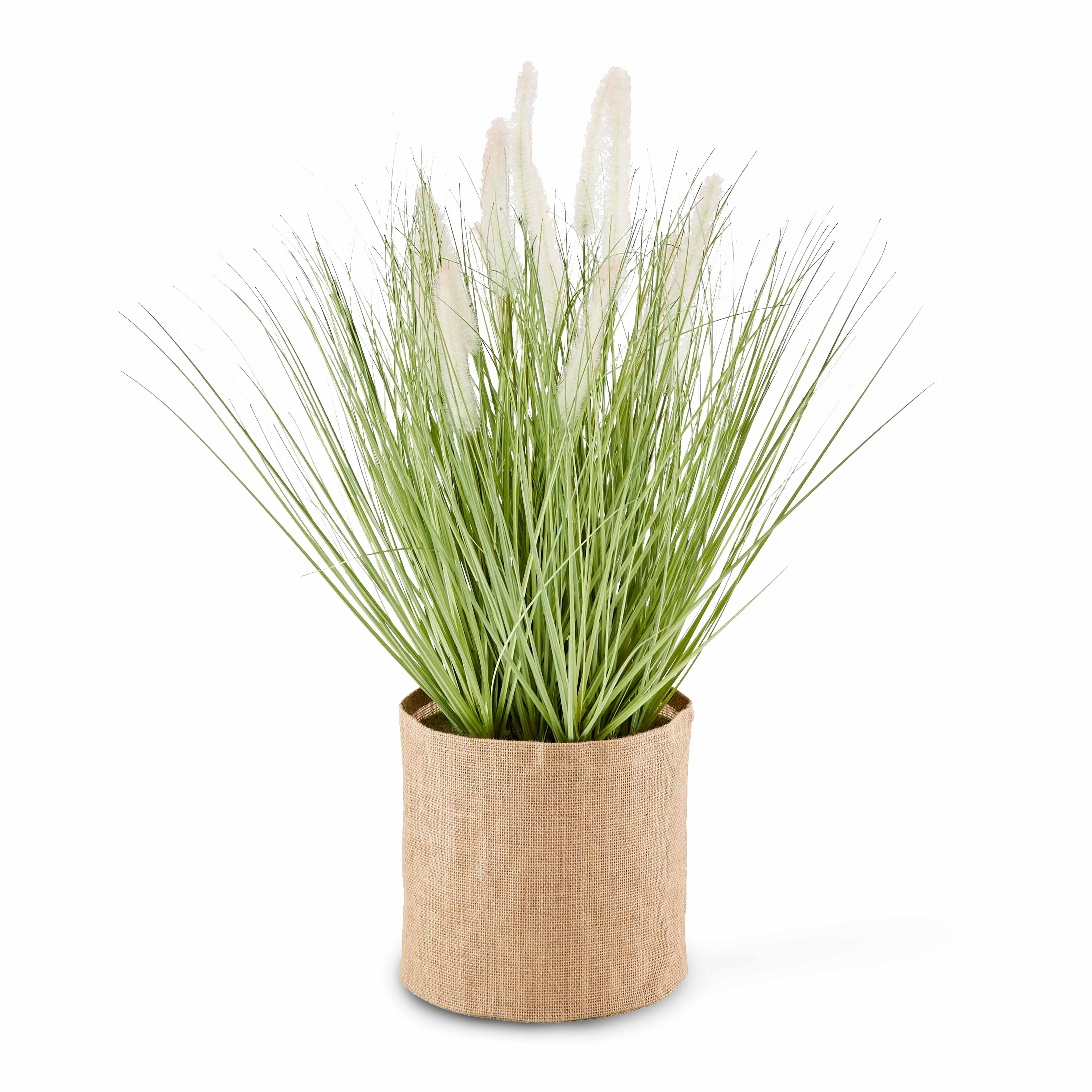 Plante artificielle Herbe folle Penninsetum, hauteur 75 cm vert