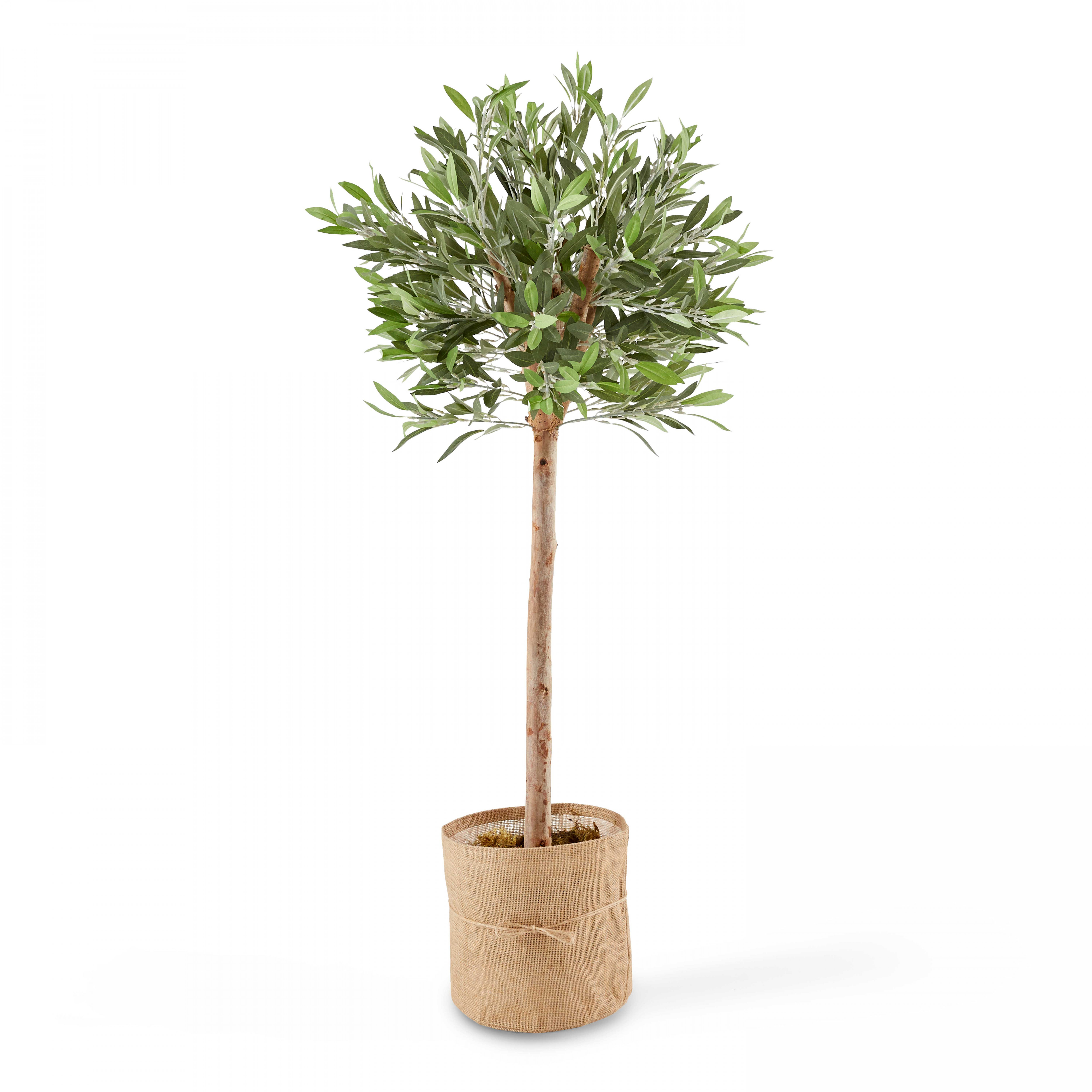 Plante artificielle avec pot Olivier, hauteur 135 cm vert