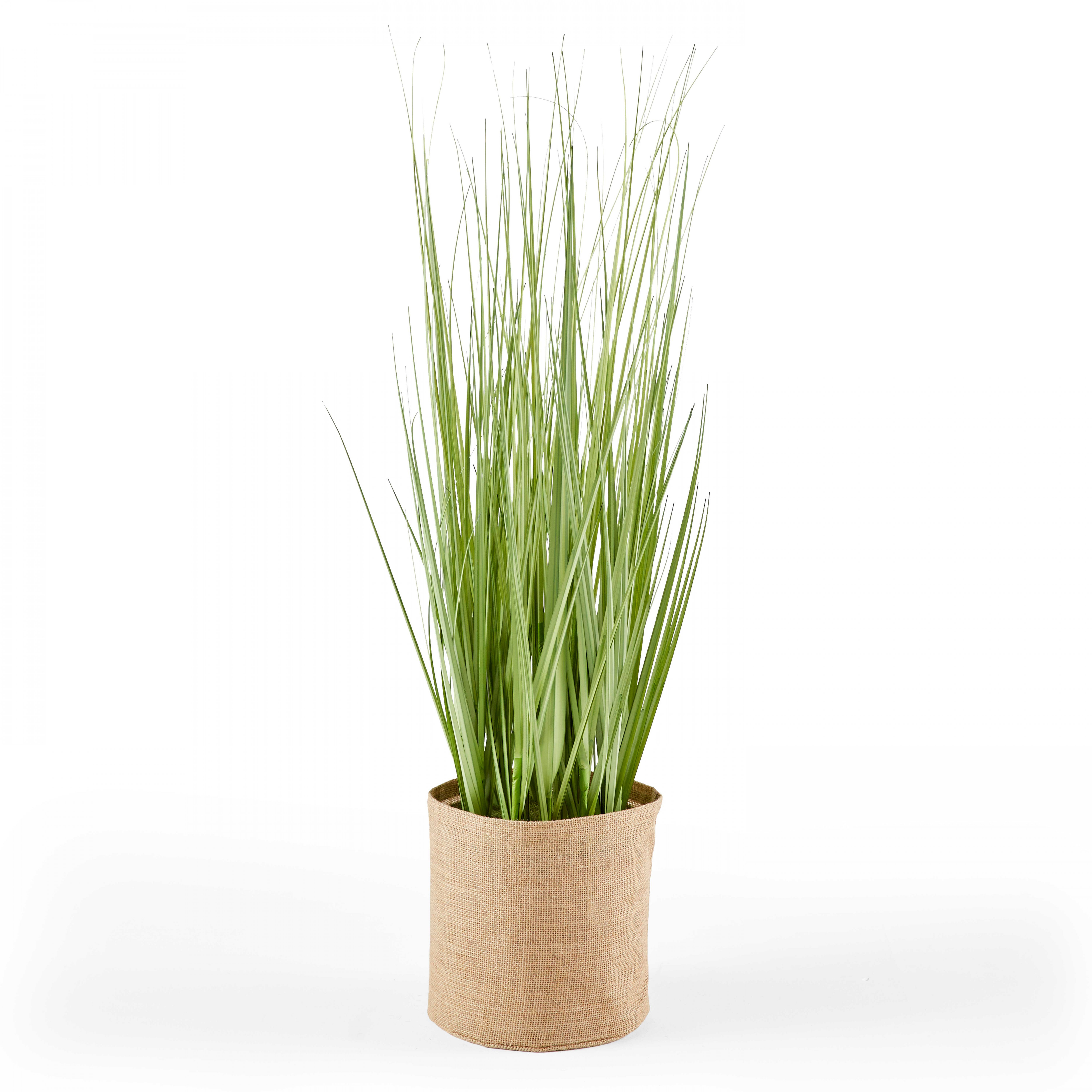 Plante artificielle Herbe folle Juncus, hauteur 95 cm vert