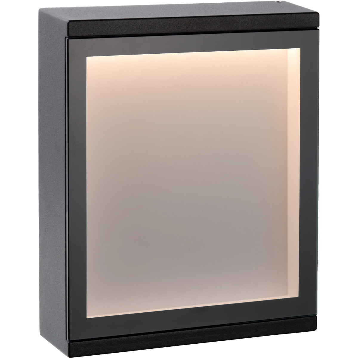 Applique moderne d'extérieur aluminium noir LED (photo) Applique moderne d'extérieur aluminium noir LED