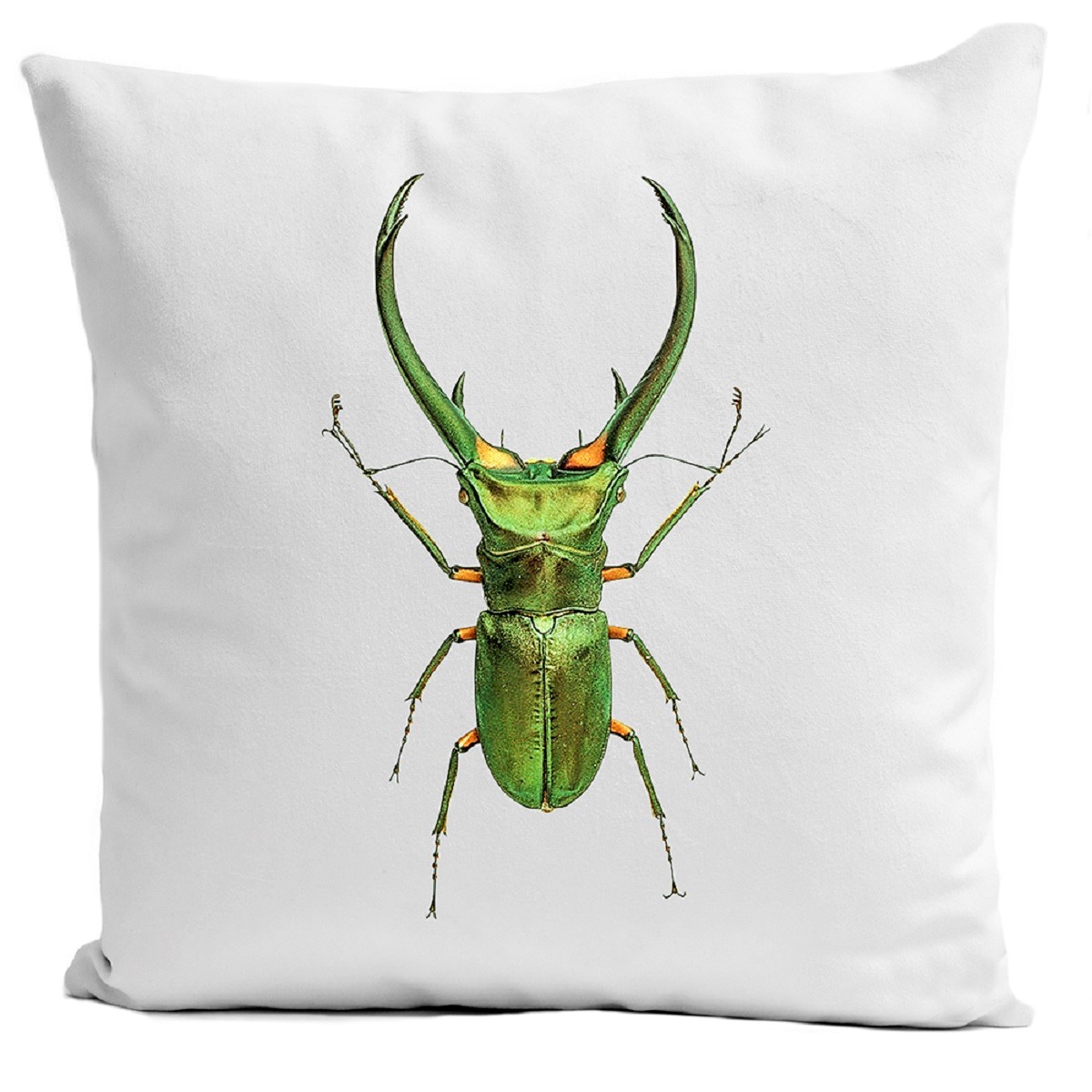 Coussin velours carré imprimé insectes blanc 40x40 (photo) Coussin velours carré imprimé insectes blanc 40x40