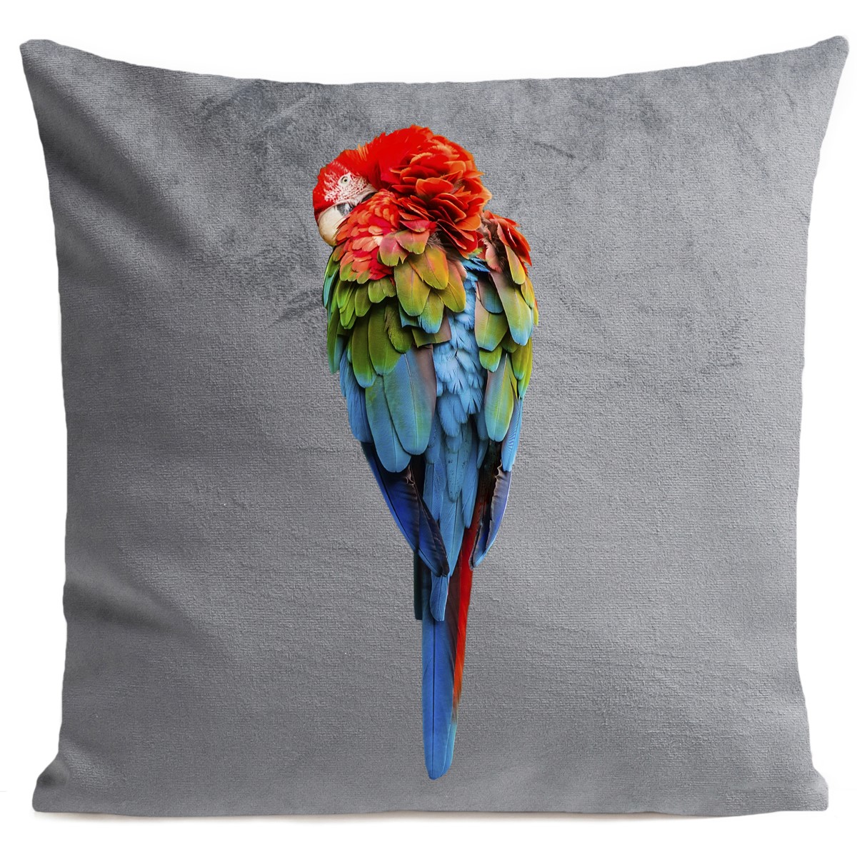 Coussin velours carré imprimé animaux gris clair 60x60 Coussin velours carré imprimé animaux gris clair 60x60