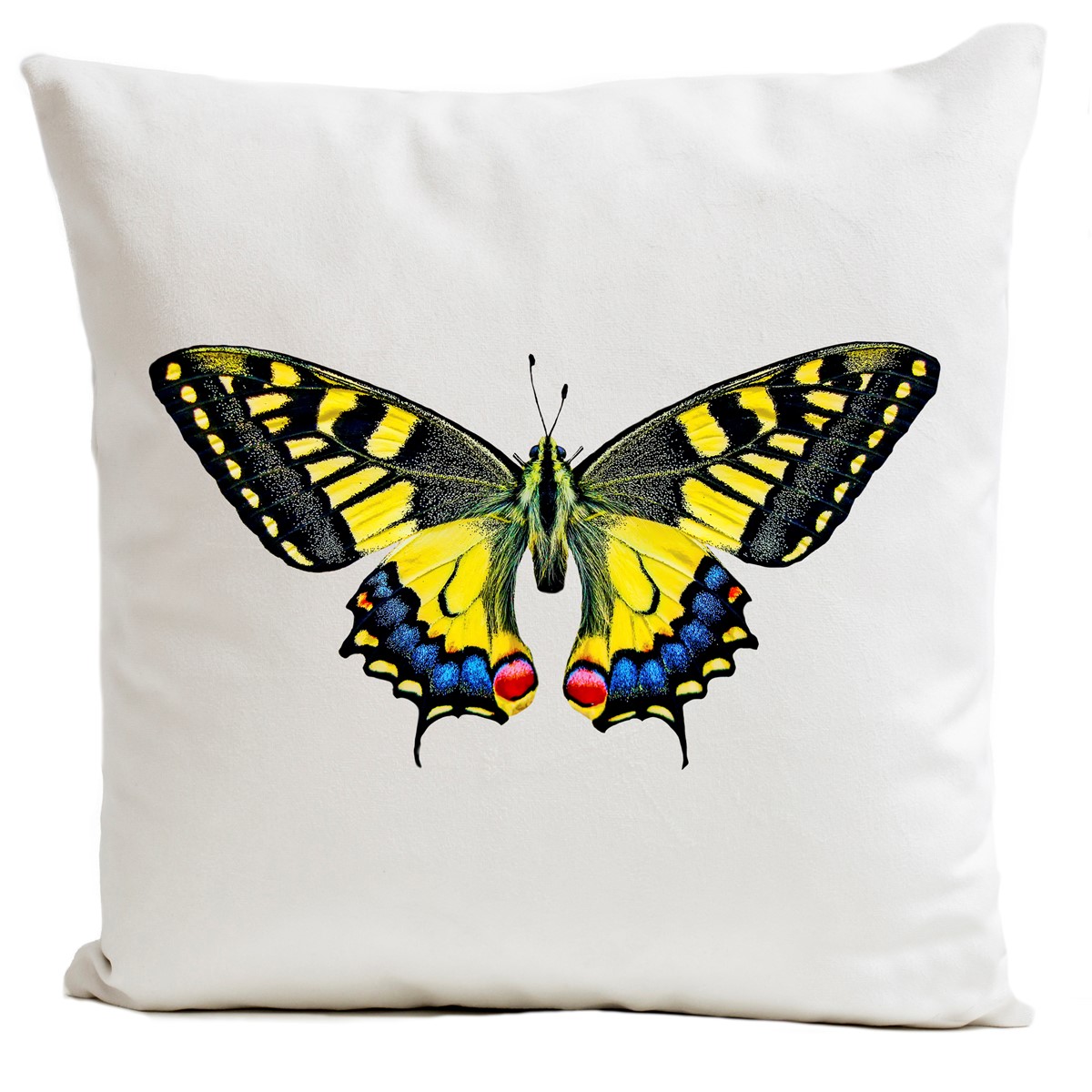 Coussin velours carré imprimé papillons blanc 40x40 Coussin velours carré imprimé papillons blanc 40x40