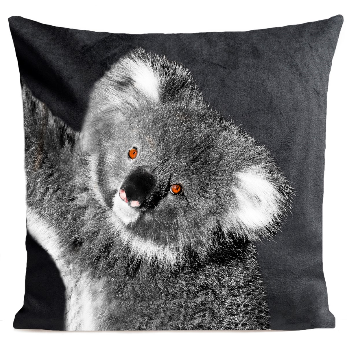 Coussin velours carré imprimé animaux gris ardoise 60x60 Coussin velours carré imprimé animaux gris ardoise 60x60