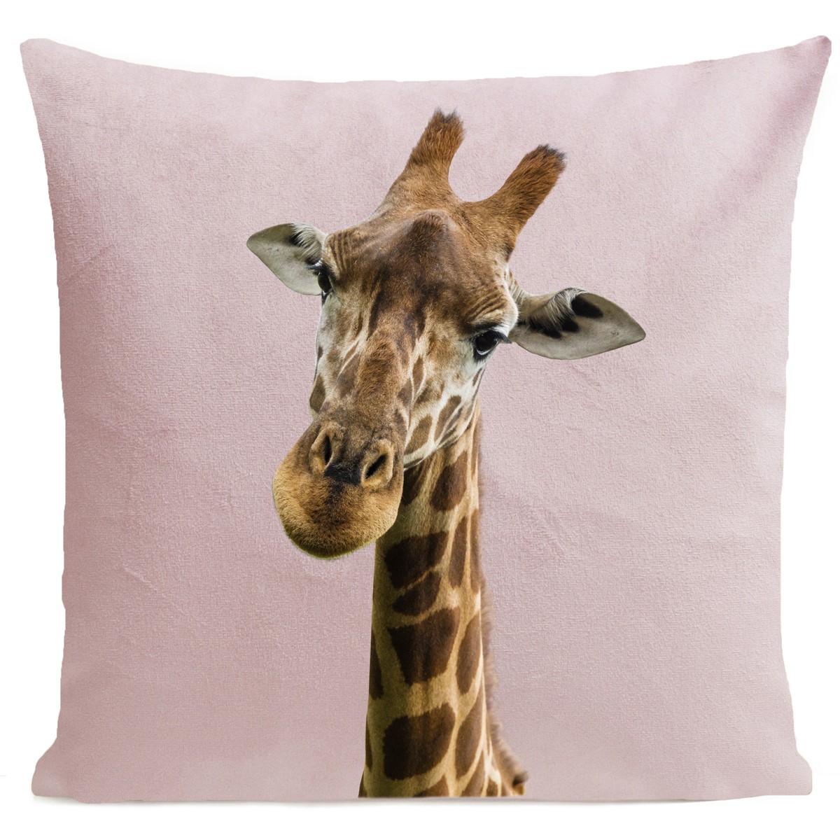 Coussin Girafe Velours 40x40cm Coussin Girafe Velours 40x40cm