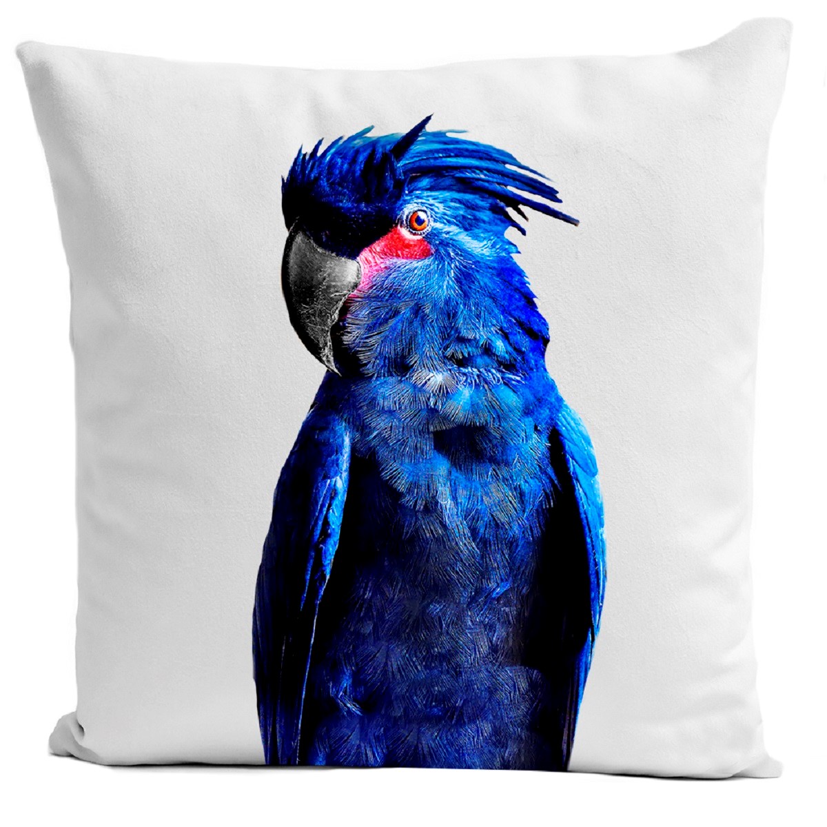 Coussin velours carré imprimé animaux blanc 40x40 (photo) Coussin velours carré imprimé animaux blanc 40x40