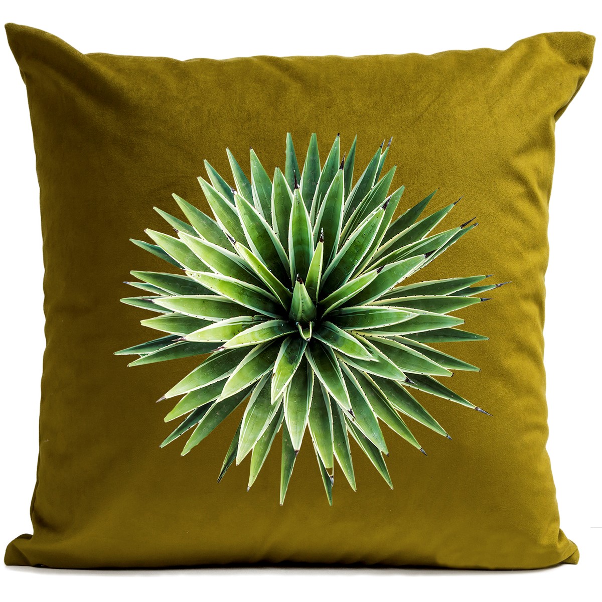 Coussin velours carré imprimé floraux vert olive 40x40 (photo) Coussin velours carré imprimé floraux vert olive 40x40