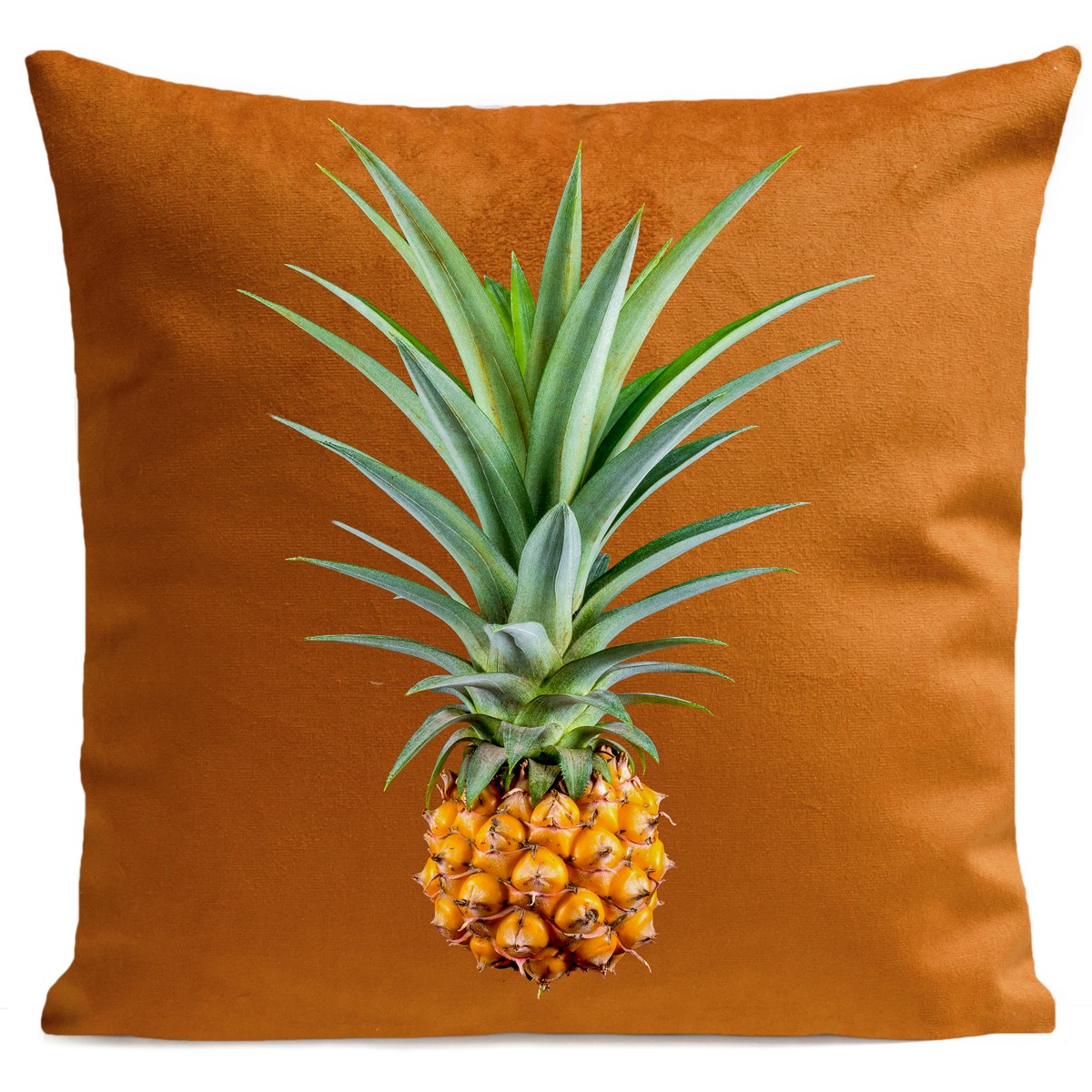 Coussin velours carré imprimé fruits rouille 40x40 (photo) Coussin velours carré imprimé fruits rouille 40x40