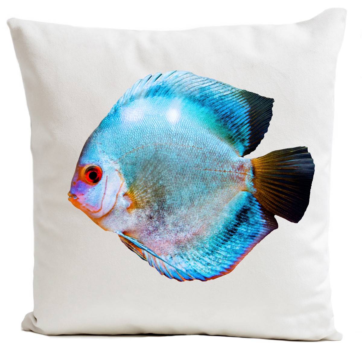 Coussin Poisson Miss Blue Velours 60x60cm Coussin Poisson Miss Blue Velours 60x60cm
