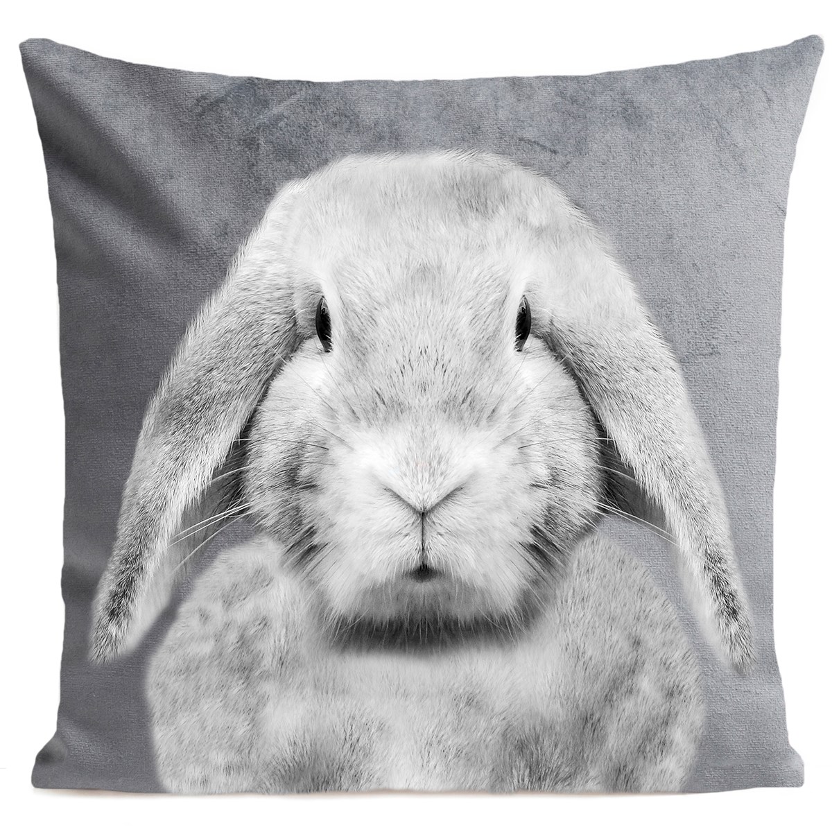 Coussin velours carré imprimé animaux gris clair 40x40 Coussin velours carré imprimé animaux gris clair 40x40