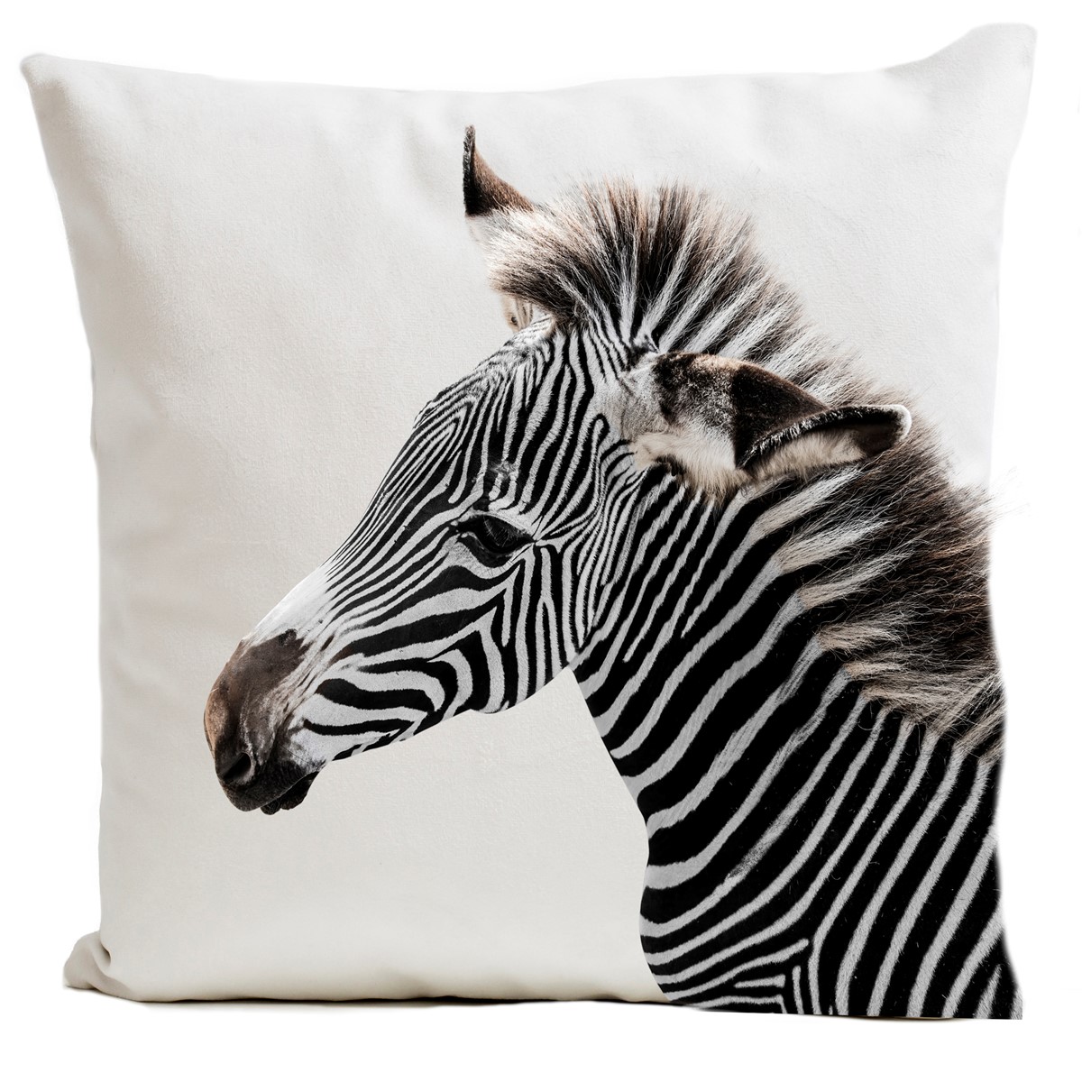 Coussin velours carré imprimé animaux blanc 40x40 (photo) Coussin velours carré imprimé animaux blanc 40x40