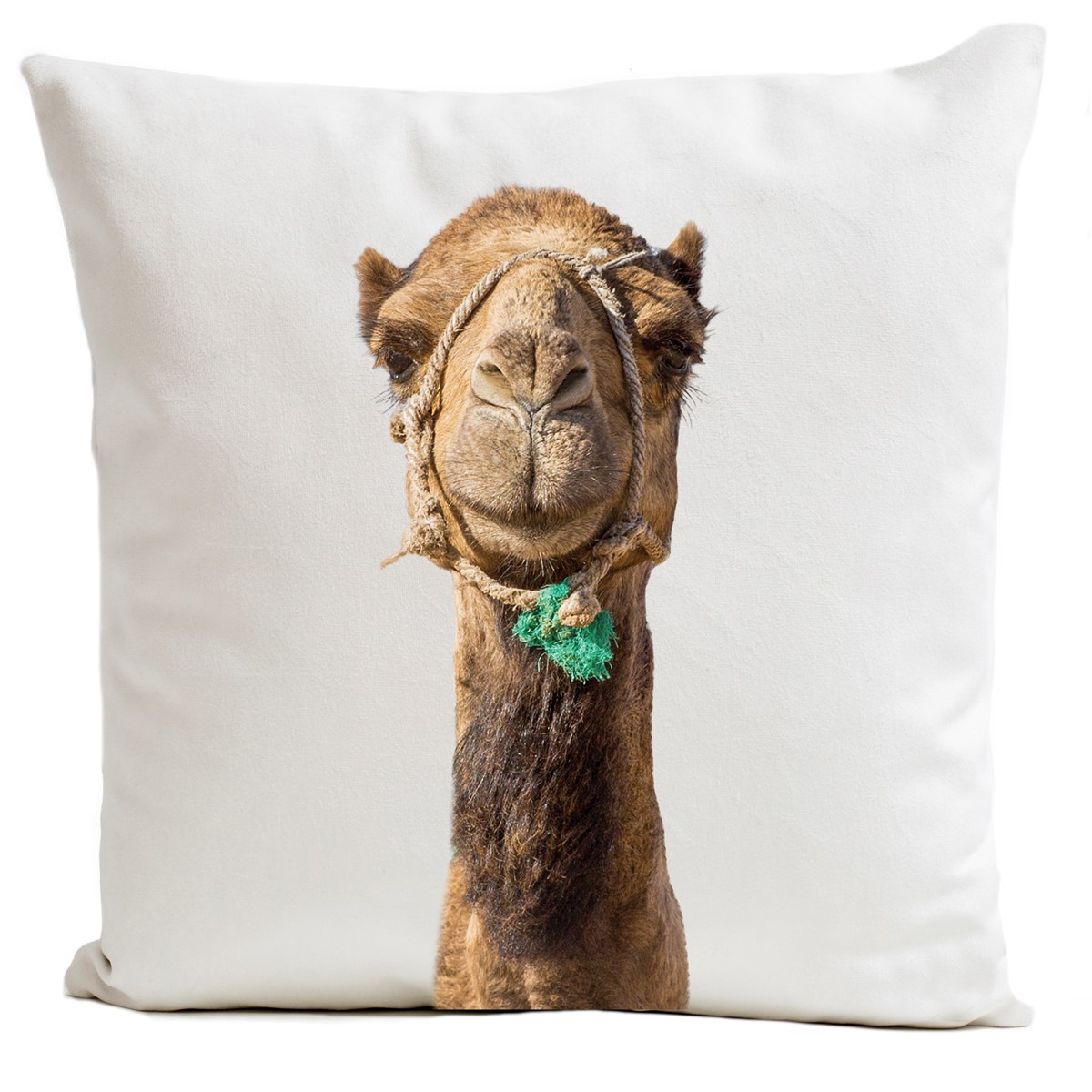 Coussin velours carré imprimé animaux blanc 40x40 (photo) Coussin velours carré imprimé animaux blanc 40x40