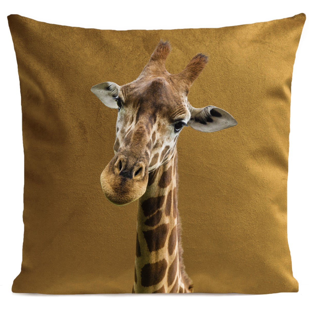 Coussin velours carré imprimé animaux moutarde 60x60 Coussin velours carré imprimé animaux moutarde 60x60