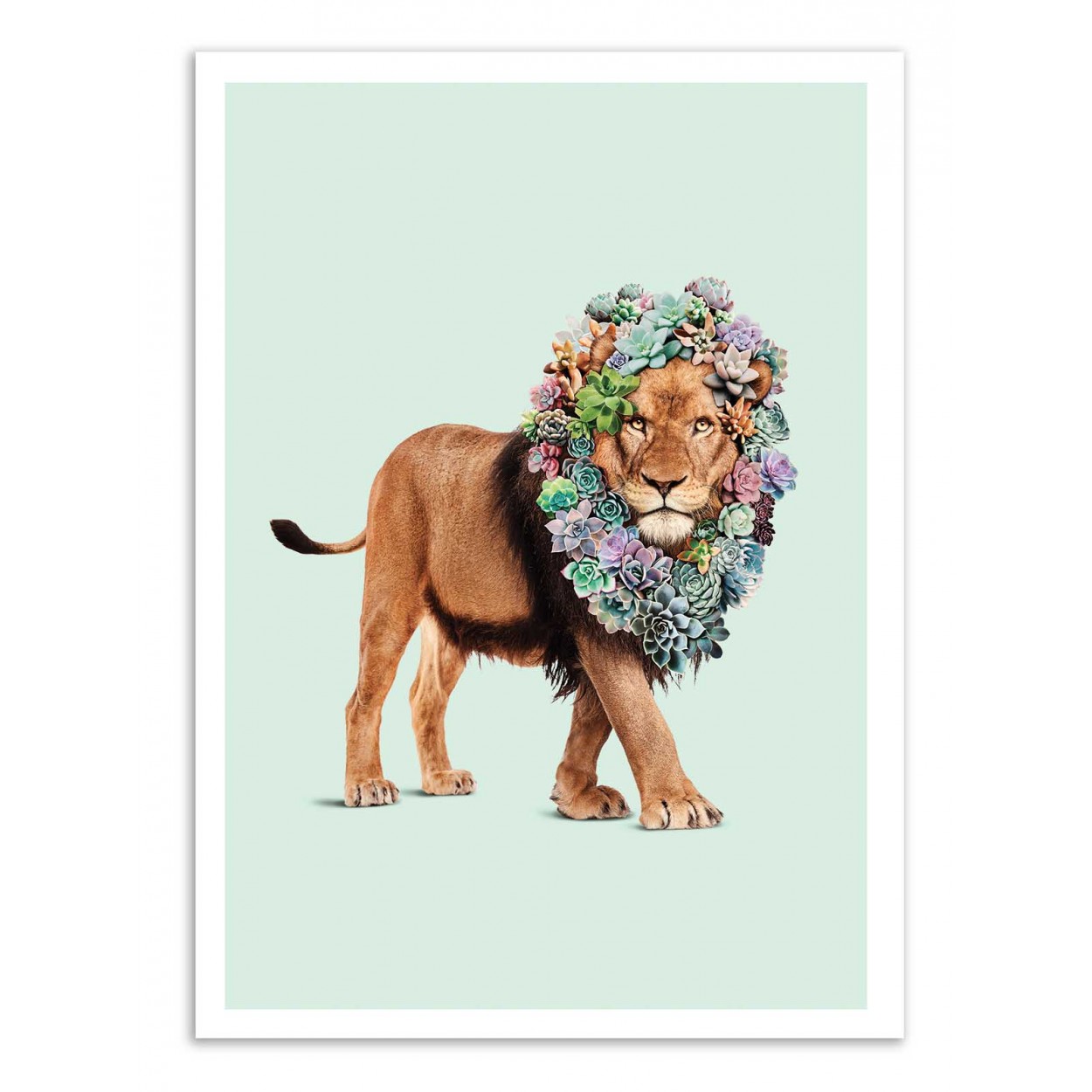 SUCCULENT LION - Affiche d'art 50 x 70 cm SUCCULENT LION - Affiche d'art 50 x 70 cm