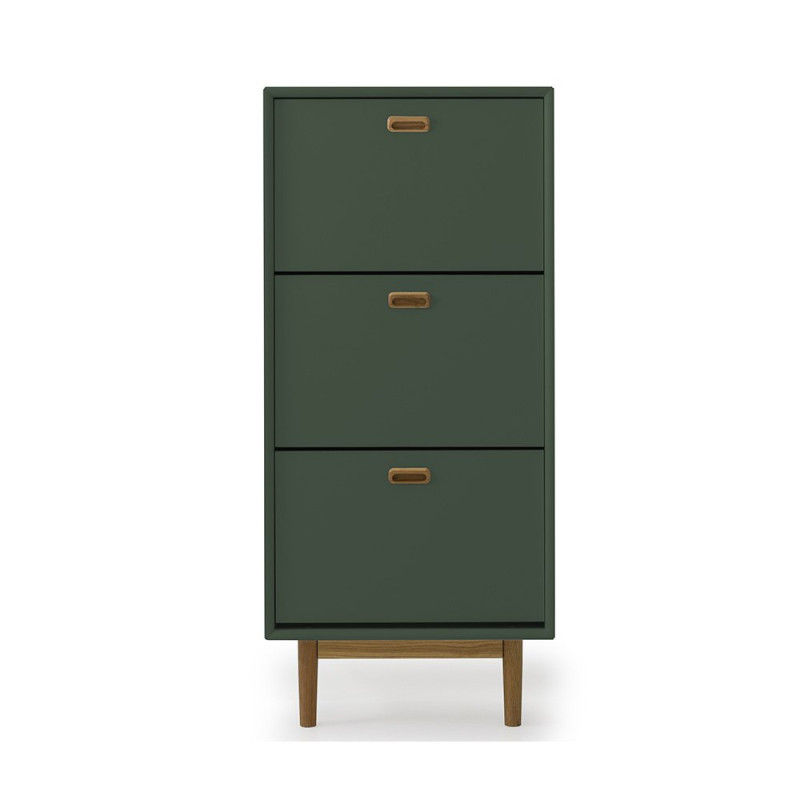 Meuble à chaussures 3 portes en bois Vert