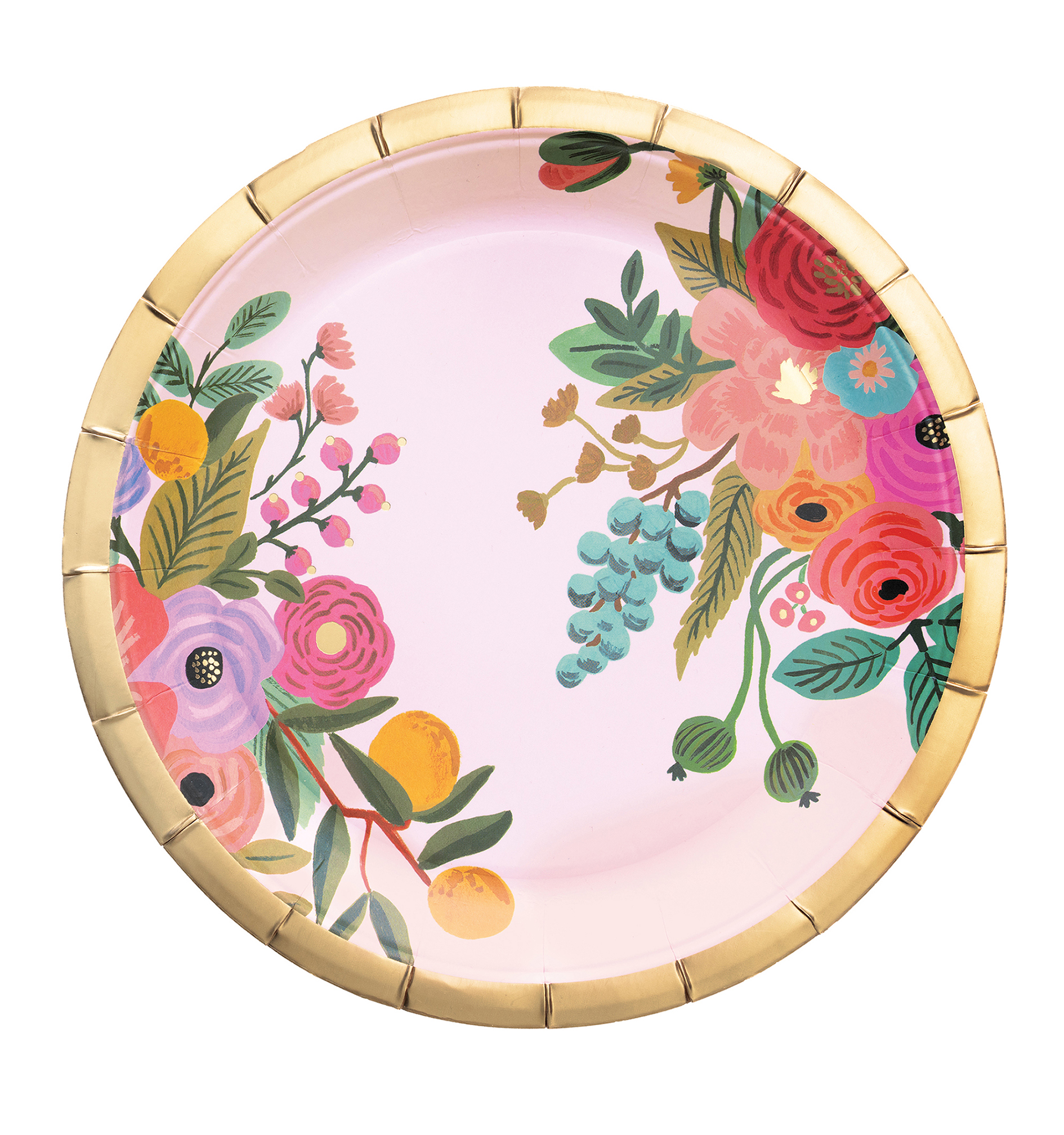 Lot de 10 grandes assiettes garden party en papier (photo) Lot de 10 grandes assiettes garden party en papier