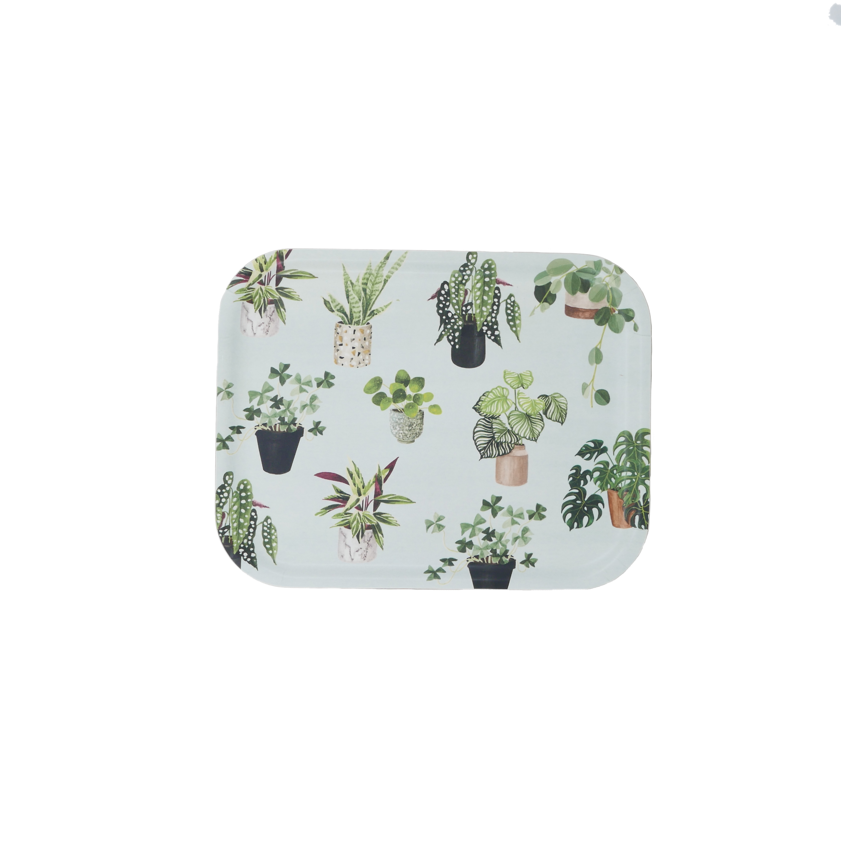 Plateau en bois rectangulaire jardin d'hiver 36x28 cm