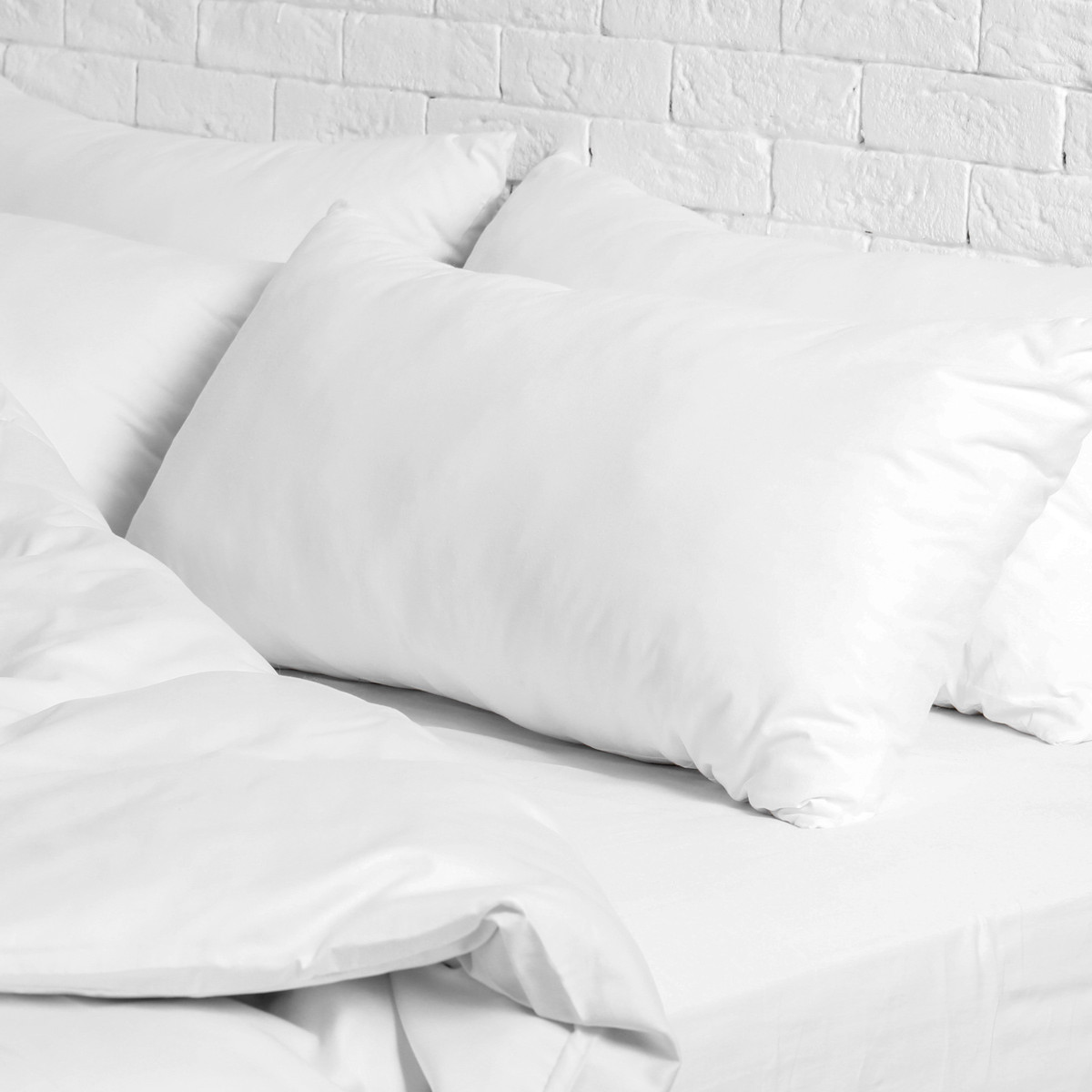COLORADO - Oreiller naturel miferme 40% duvet 65x65 cm (photo) COLORADO - Oreiller naturel miferme 40% duvet 65x65 cm