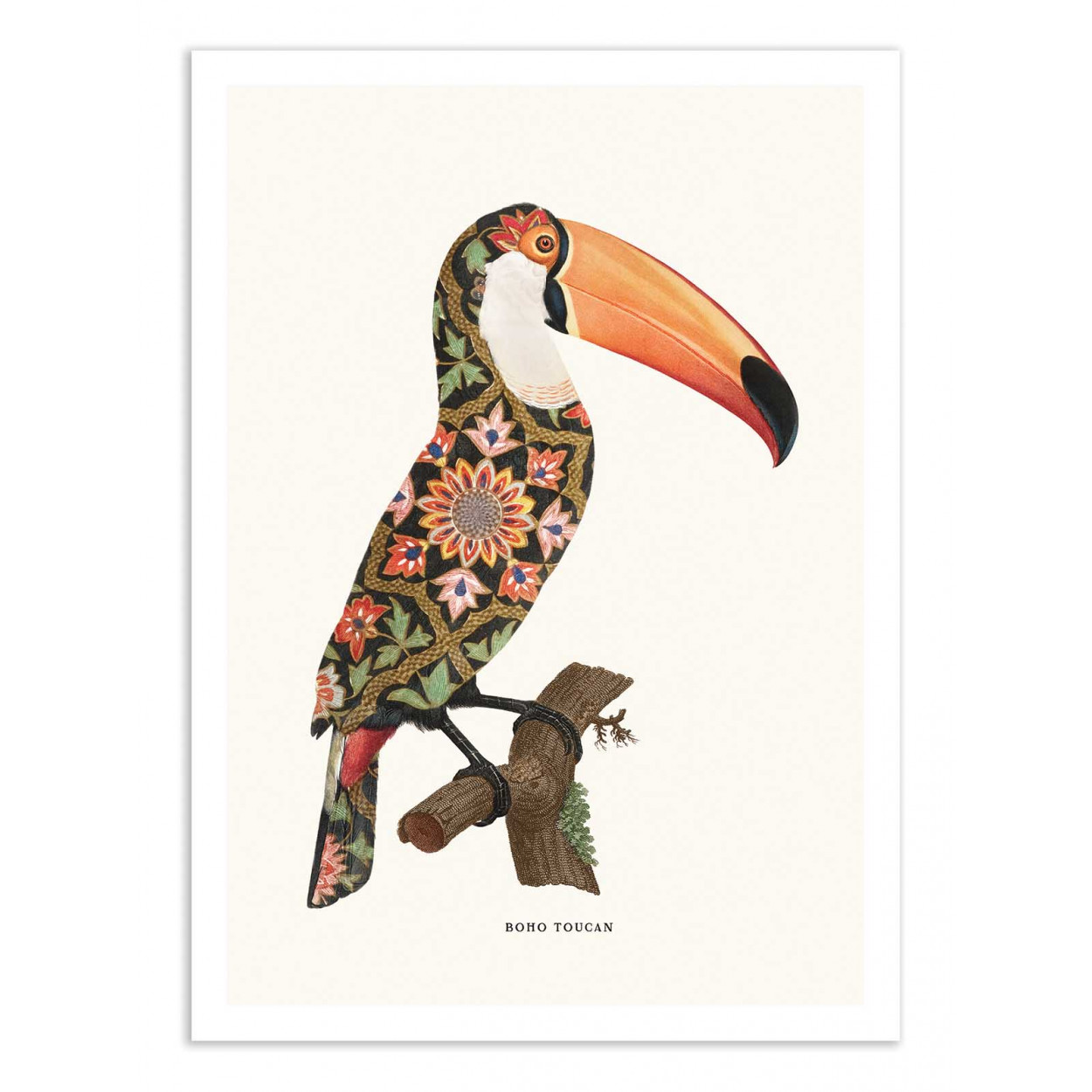 BOHO TOUCAN - Affiche d'art 50 x 70 cm (photo) BOHO TOUCAN - Affiche d'art 50 x 70 cm