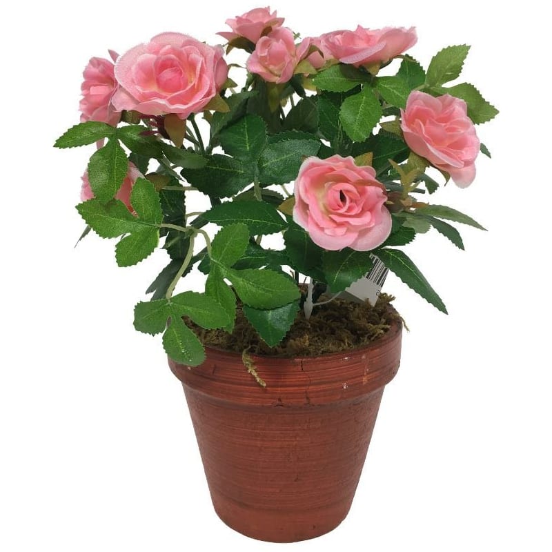 Grande guirlande de rosier rose Grande guirlande de rosier rose