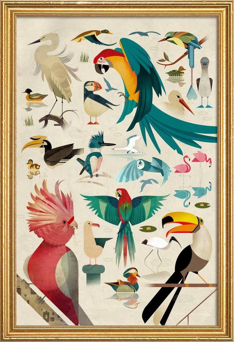 Affiche avec cadre en bois (Doré) en Multicolore/30x45 Affiche avec cadre en bois (Doré) en Multicolore/30x45