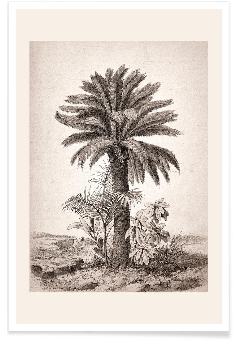 Affiche en Blanc ivoire & Gris/60x90 Affiche en Blanc ivoire & Gris/60x90