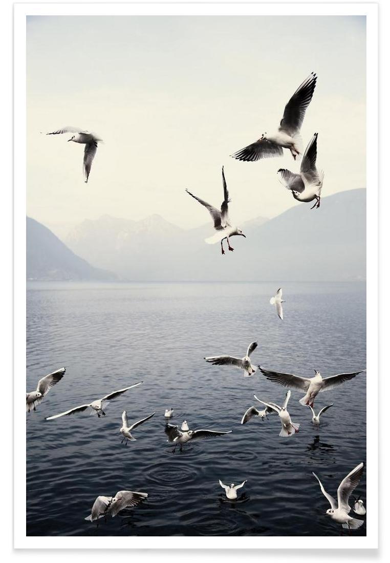Affiche en Blanc & Bleu/60x90 Affiche en Blanc & Bleu/60x90