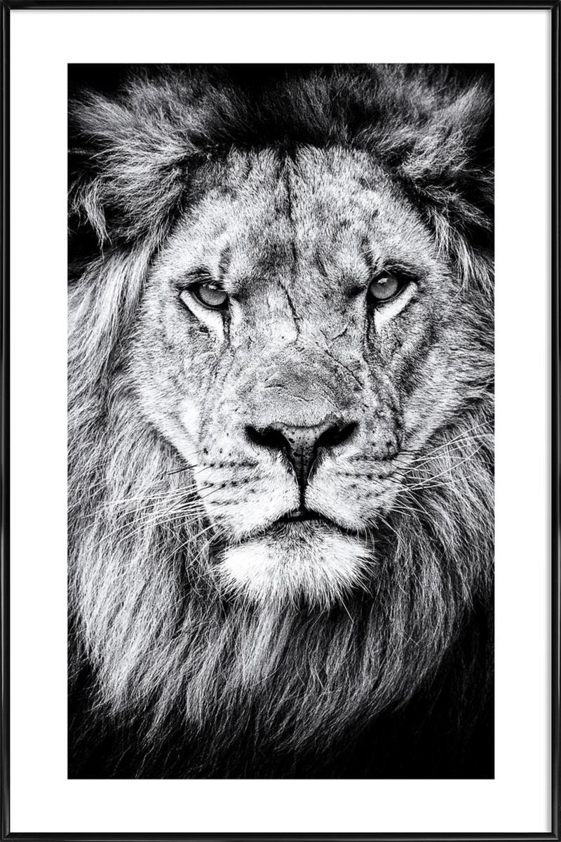 Affiche avec cadre standard (Noir) en Blanc & Noir/60x90 (photo) Affiche avec cadre standard (Noir) en Blanc & Noir/60x90