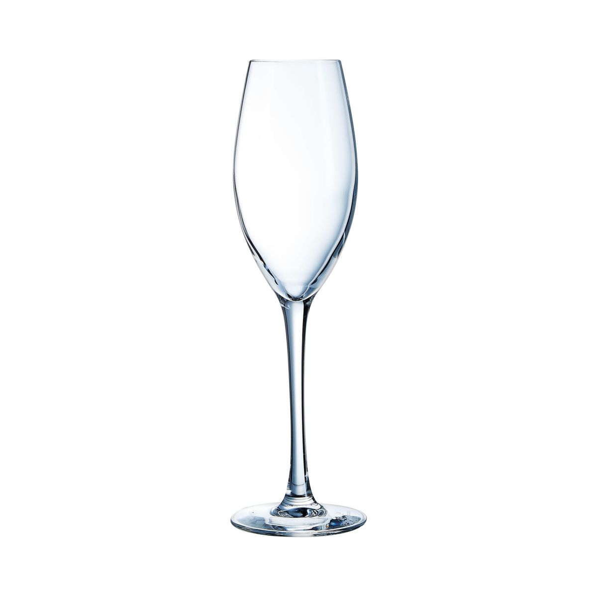 Flûte à champagne 24cl - Lot de 6
