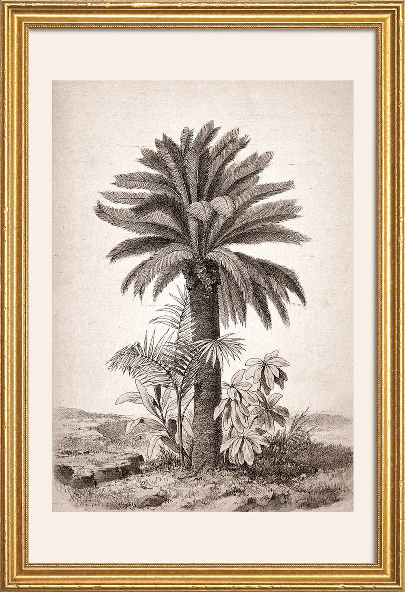 Affiche avec cadre en bois (Doré) en Blanc ivoire & Gris/30x45 (photo) Affiche avec cadre en bois (Doré) en Blanc ivoire & Gris/30x45