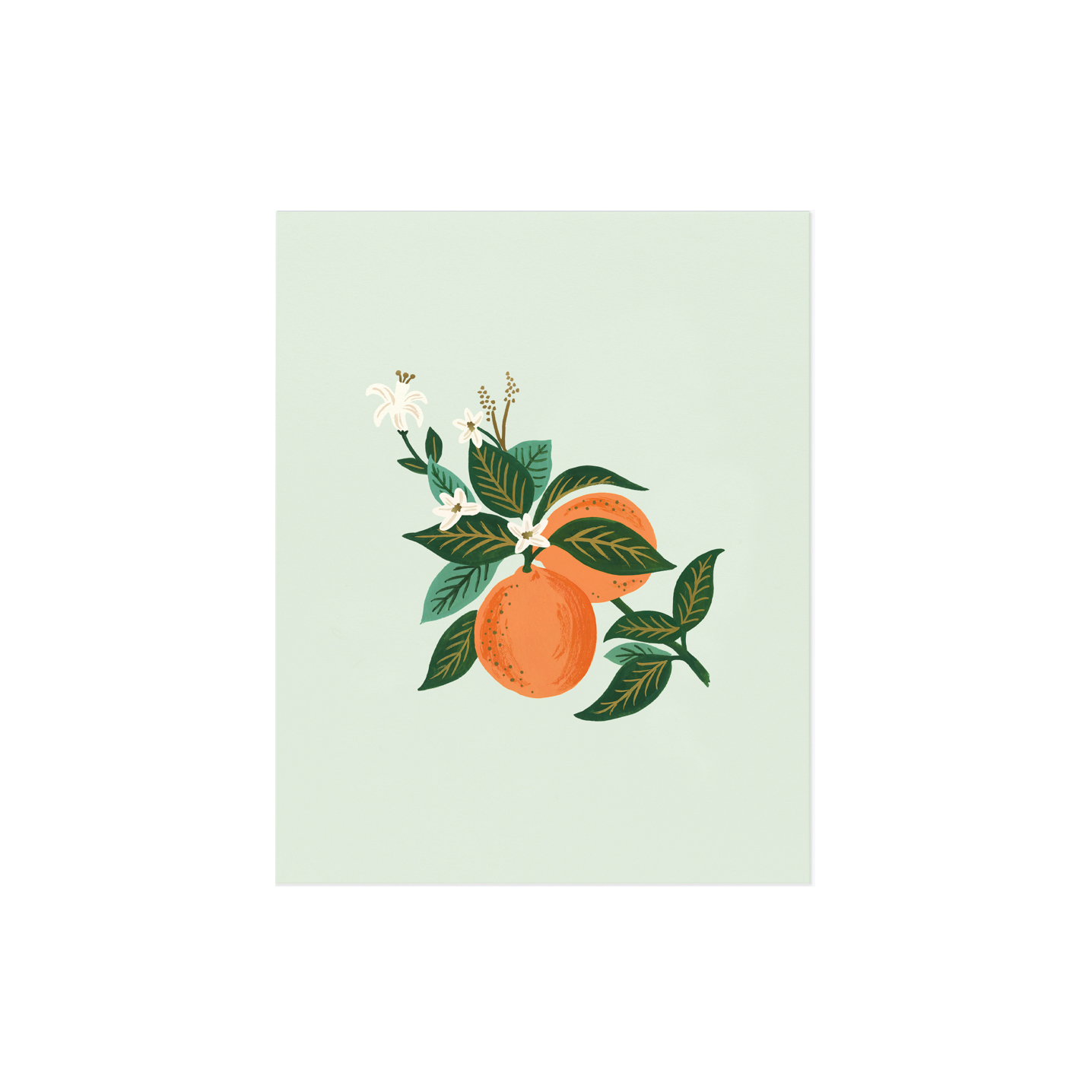 Affiche decorative orange blossom