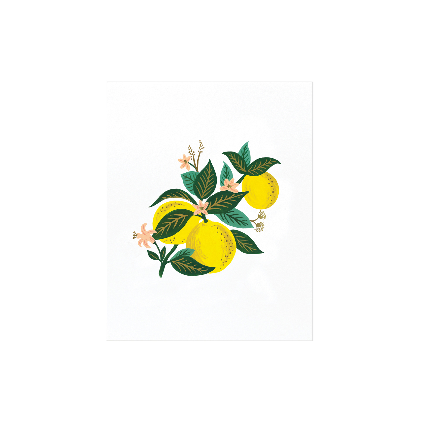 Affiche decorative lemon blossom