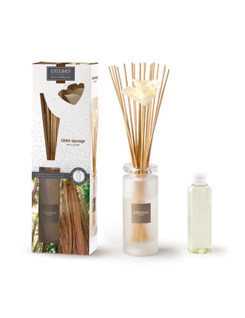 Bouquet parfumé soliflore et sa recharge cèdre sauvage Bouquet parfumé soliflore et sa recharge cèdre sauvage