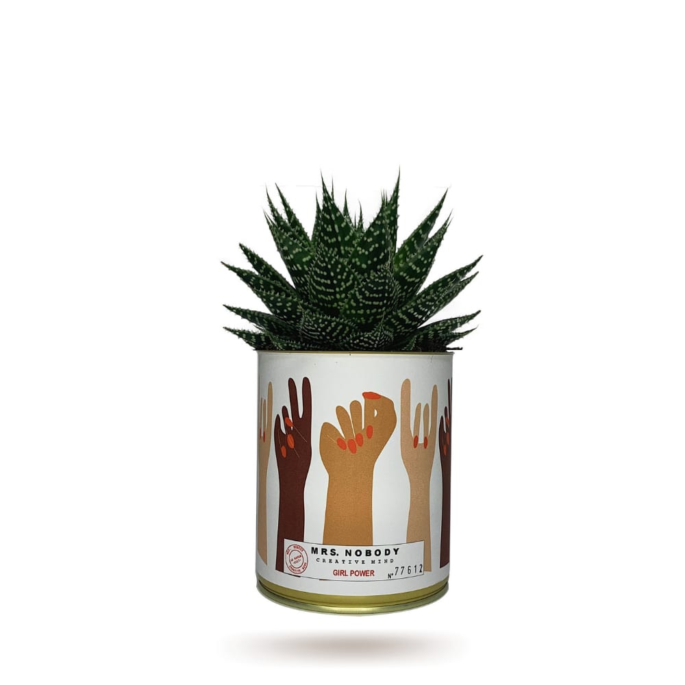 Cactus ou Succulente - Girl Power - Aloe Cactus ou Succulente - Girl Power - Aloe