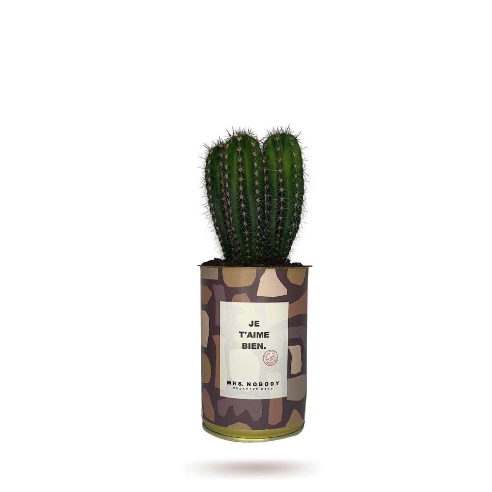 Cactus ou Succulente - Je T'aime Bien - Cactus Colonne