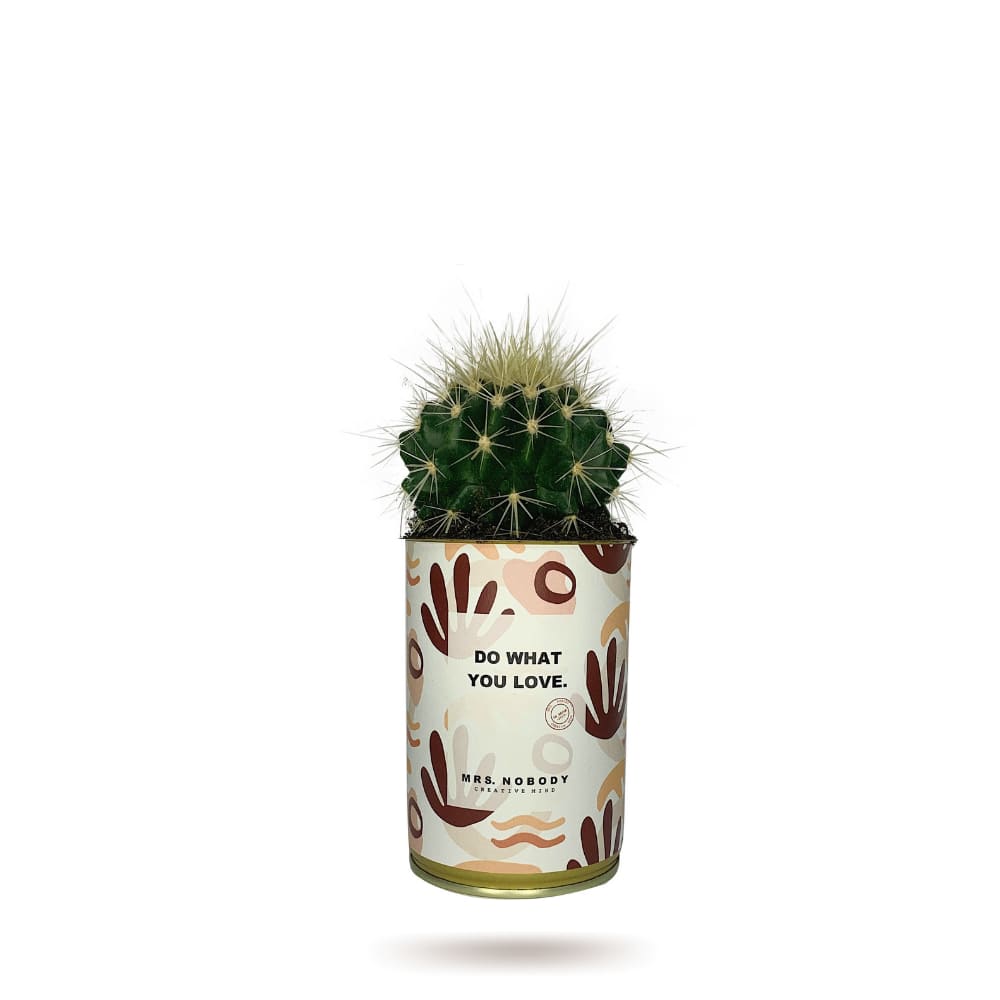 Cactus ou Succulente - Do What You Love - Cactus Boule