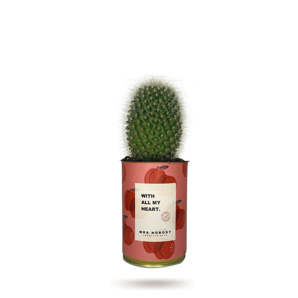 Cactus ou Succulente - With All My Heart - Cactus Boule