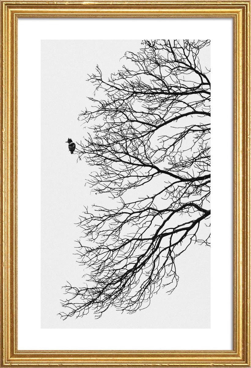 Affiche avec cadre en bois (Doré) en Blanc & Gris/60x90 (photo) Affiche avec cadre en bois (Doré) en Blanc & Gris/60x90