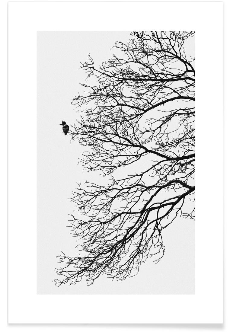 Affiche en Blanc & Gris/60x90 Affiche en Blanc & Gris/60x90