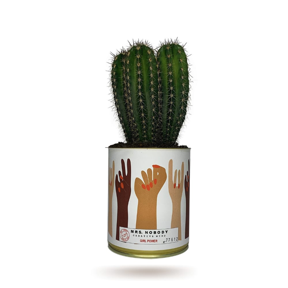 Cactus ou Succulente - Girl Power - Cactus Colonne Cactus ou Succulente - Girl Power - Cactus Colonne