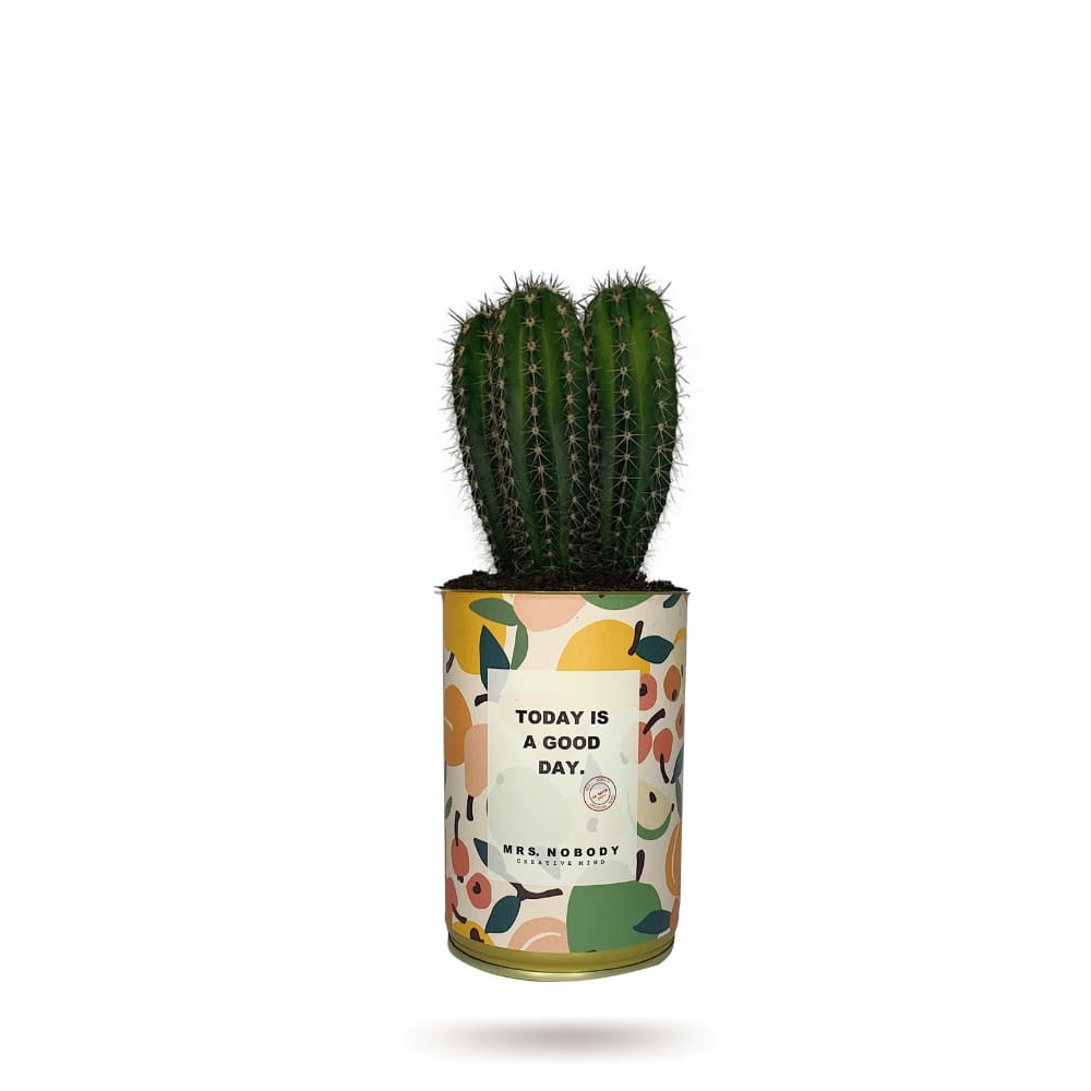 Cactus ou Succulente - Today Is A Good Day - Cactus Colonne