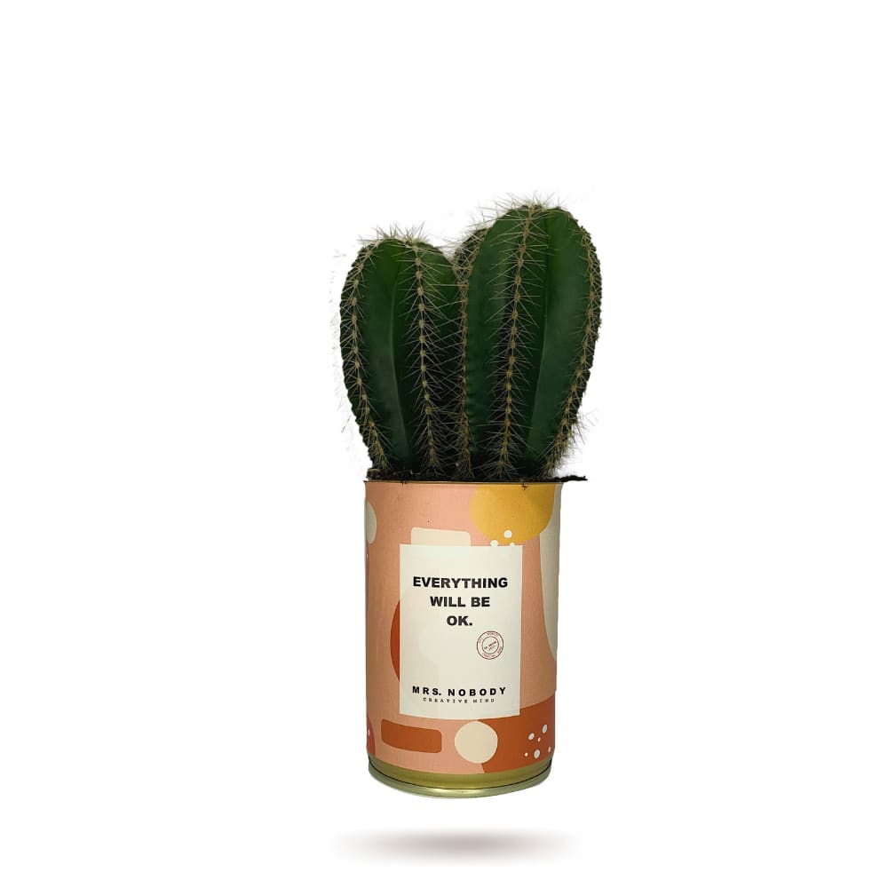 Cactus ou Succulente - Everything Will Be Ok - Cactus Colonne