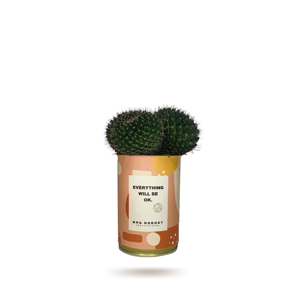 Cactus ou Succulente - Everything Will Be Ok - Cactus Boule