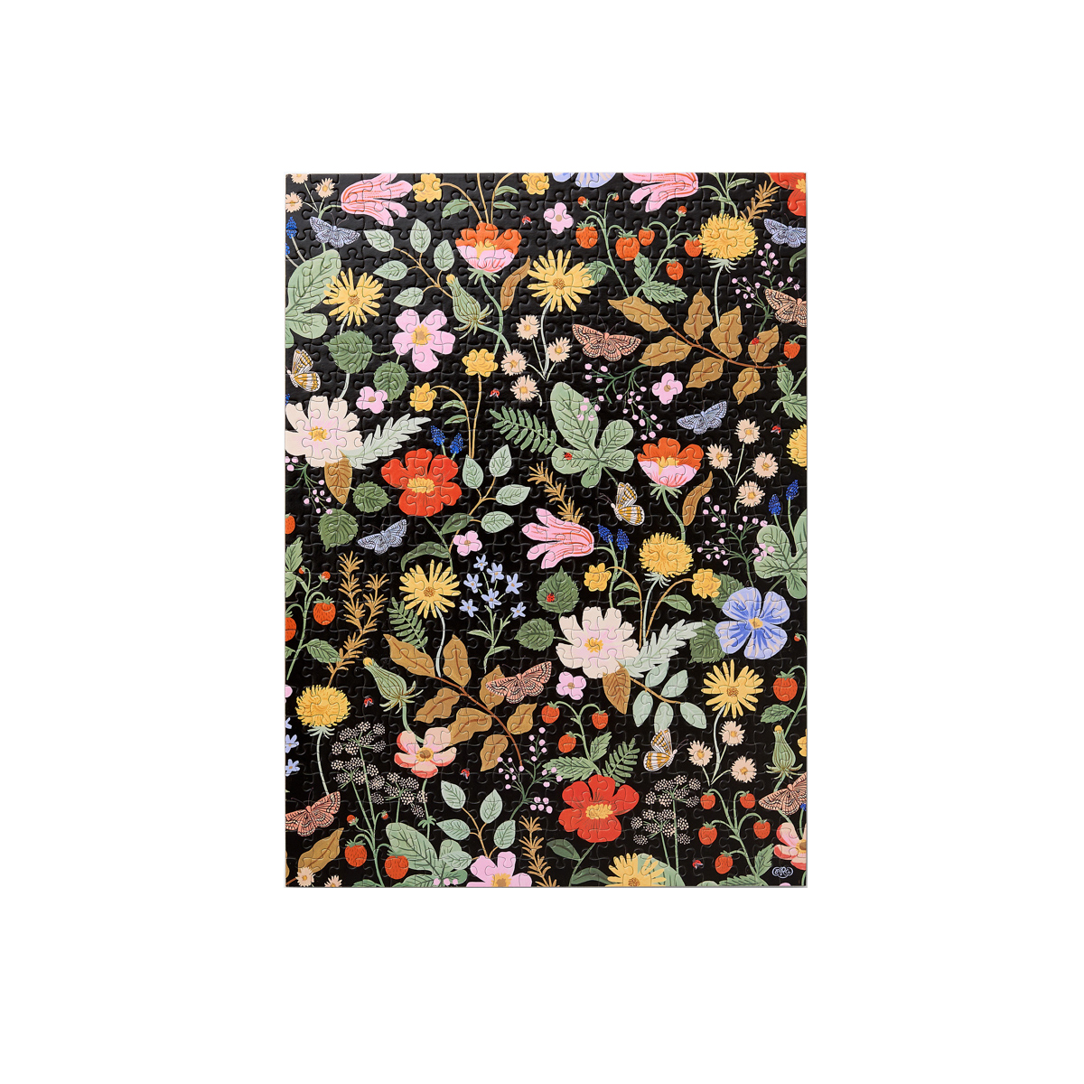 Puzzle 500 pièes strawberry fields (photo) Puzzle 500 pièes strawberry fields