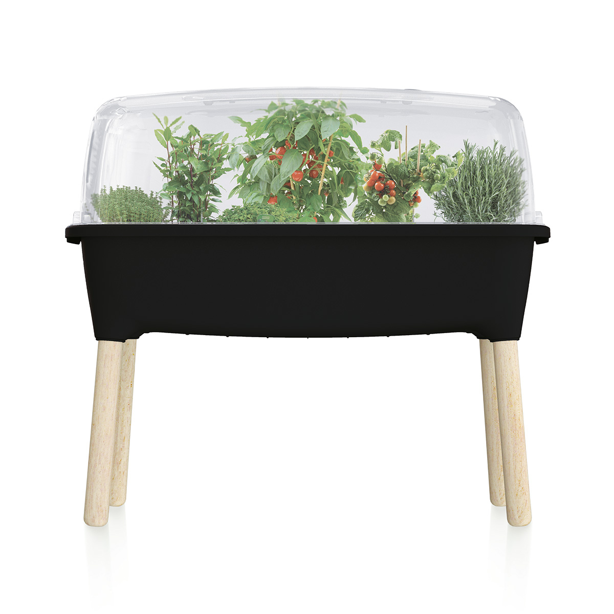 Potager serre en plastique noir avec pieds en bois Potager serre en plastique noir avec pieds en bois