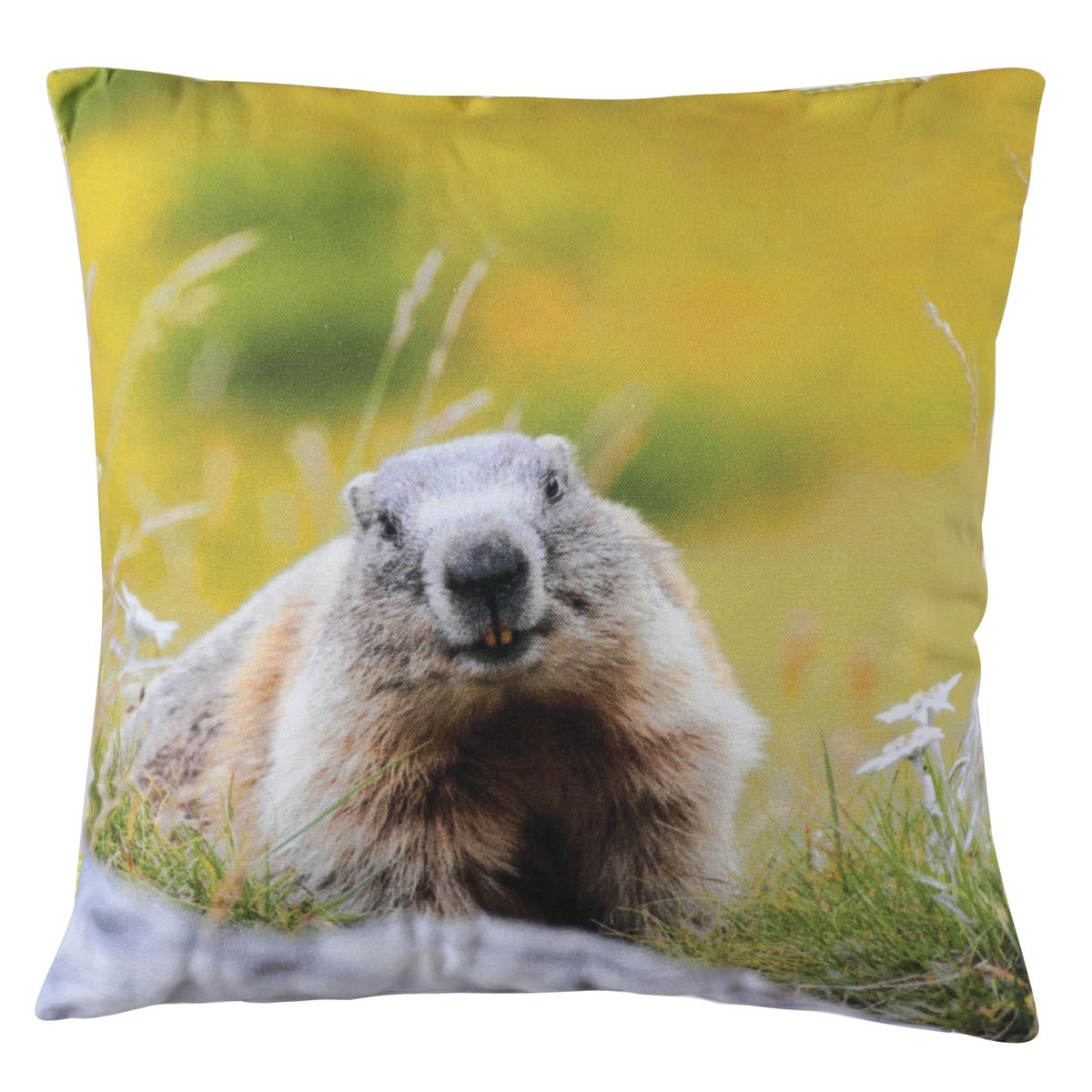 Coussin carré 40 x 40 cm imprimé marmotte (photo) Coussin carré 40 x 40 cm imprimé marmotte