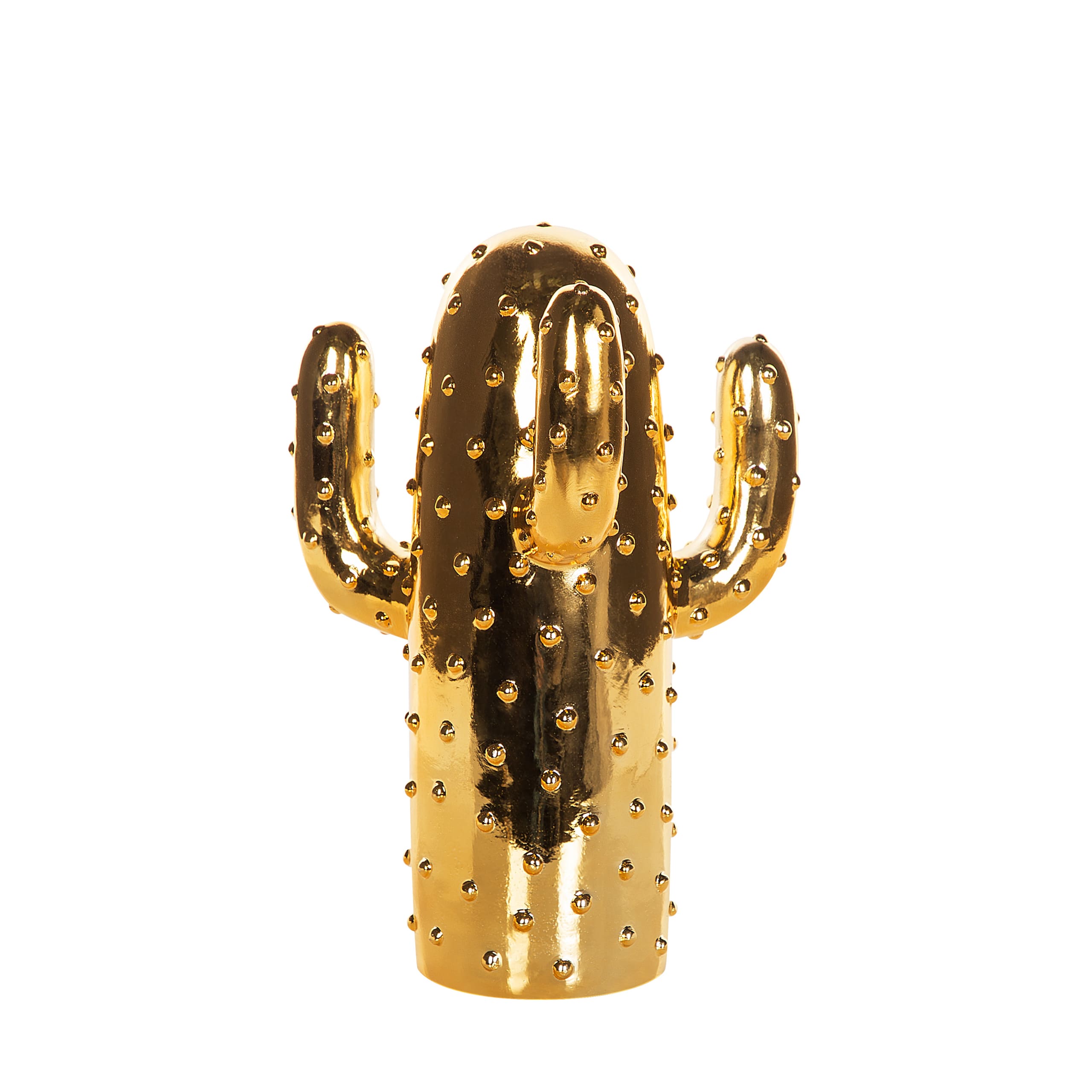 Cactus décoratif doré (photo) Cactus décoratif doré